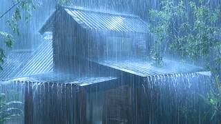(No Ads) Extreme Rainstorm & Thunder Sounds on Tin Roof | Calm Mind & Deep Sleep