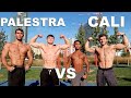 SFIDA EPICA TRA BODYBUILDERS E CALISTHENICI! PALESTRA VS CALISTHENICS! 2 VS 2! CHI VINCERÀ LA SFIDA?