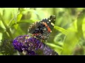 ARMIK - Lost in Paradise