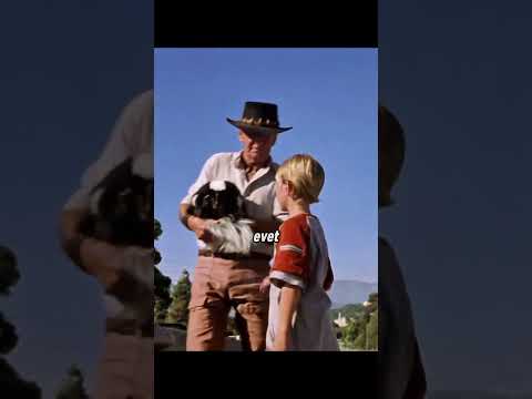 Tarihin En Absürt Yanlış Anlaşılması!