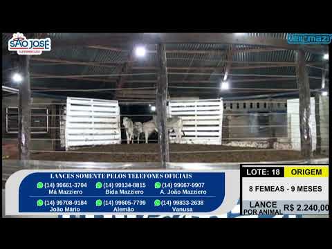 Leilão Leilomazi - Dois Córregos (19/08/2026)
