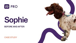 Download lagu Sophie - Before and after using WIMBA Carpus Orthosis Pro #2 mp3 Download lagu Sophie - Before and after using WIMBA Carpus Orthosis Pro #2 mp3