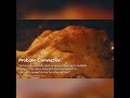 pdp probake convection 1x1 logo 720p