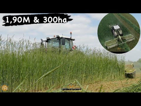 1,90M & 300ha in dem Roggen ist der FENDT Verschwunden! Großeinsatz GPS Mähen Ganzpflanzensilage BGA