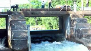 preview picture of video 'Adding a log to the Minden Wild Water Preserve Dam'