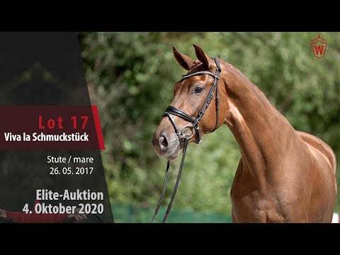Elite-Auktion 04. Oktober 2020 Lot 17 Viva la Schmuckstück Stute v. Vitalis - Moritz