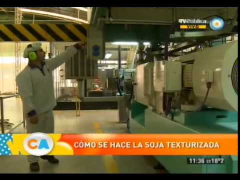 Soja texturizada