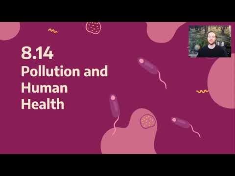 AP Environmental Science 8.14 - Pollution and Human Health