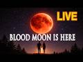 LIVE BLOOD MOON Total Lunar Eclipse March 3 2026 2AM CST