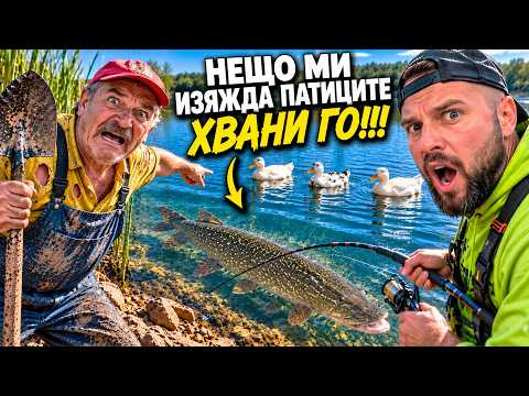 ПОМОГНИ МИ, ИЗЯЖДА МИ ЖИВОТНИТЕ!?!