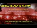 CHANTS OF ULTRAS HELALA BOYS YANG PENUH MAKNA ️ HelalaBoys Ultras Pyro Maroko