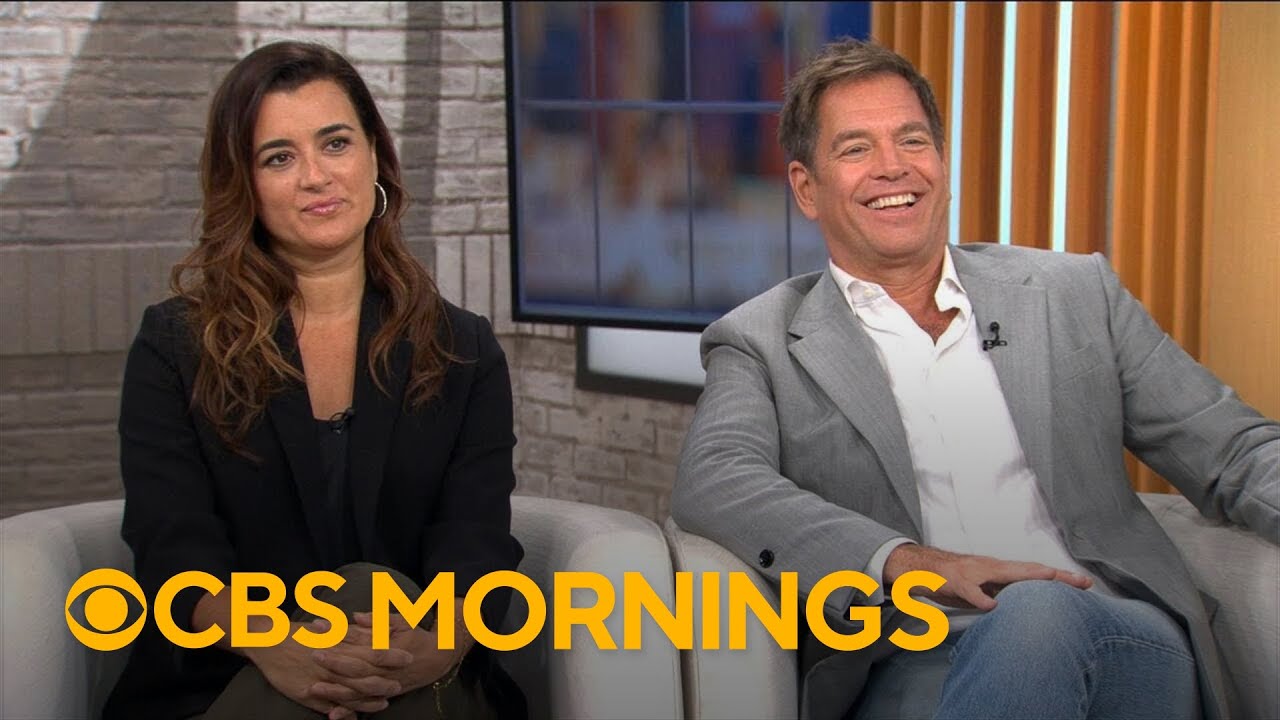 Cote de Pablo and Michael Weatherly reprise beloved roles for 