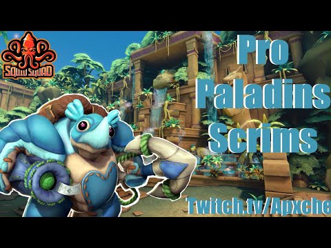 PALADINS PRO SCRIMS