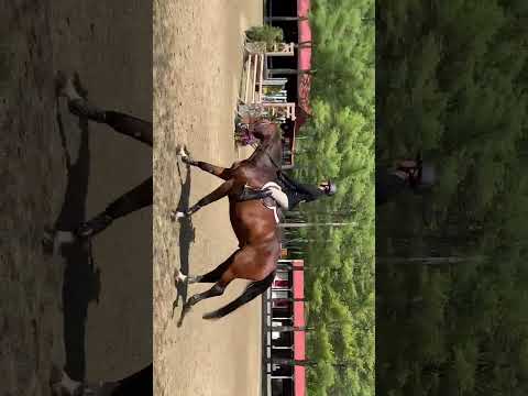 Nithard VW video 5
