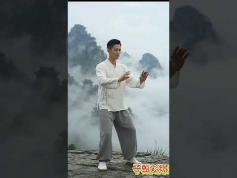 ~子甄彣璟~純棉太極褲 拉鍊口袋不掉物 褲襠加強車縫 功夫褲 武術褲 練功褲 功夫褲 燈籠褲 休閒長褲 運動褲 不卡襠