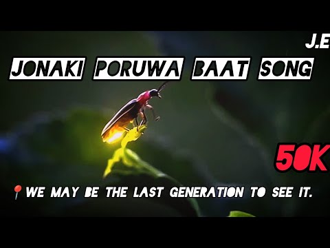 Jonaki poruwa baat song -The lonely path of a Firefly|Assamese song 2026 #song #viralsong #newsong 