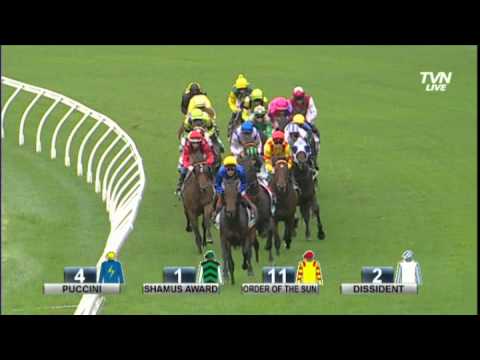 2014 Rosehill Guineas - Criterion