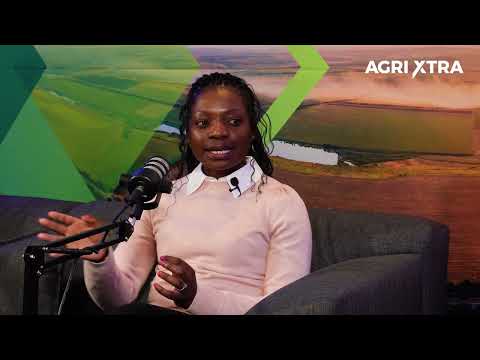 BFAP Baseline 2026 - Ag-Transformation (Gerhard & Khani)