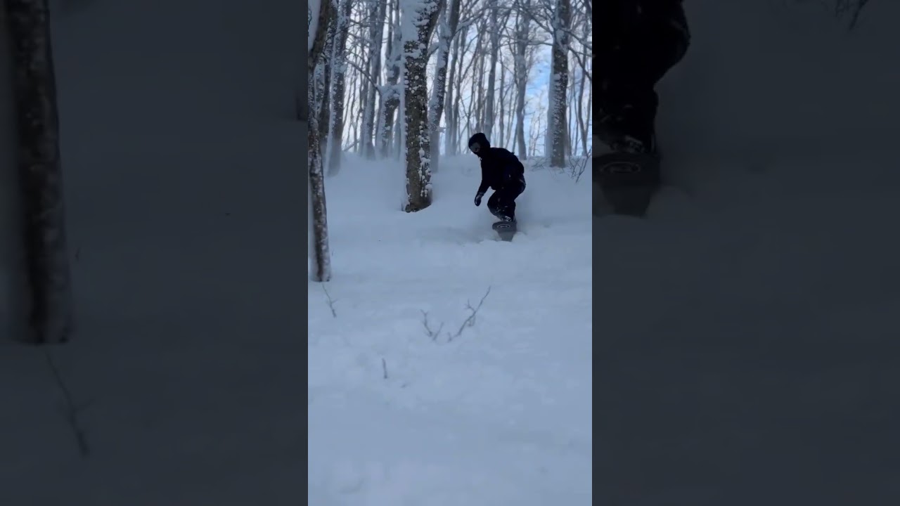 青森はすでに積雪2メートル超え　今シーズンもよろしくお願いします。