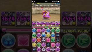 【パズドラ】スタミナ消費に超究極ヨミドラ(サブALLエスカマリ)で闘技場やってみたら・・・