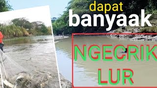 Download lagu NGECRIK DI SUNGAI CIKAO || DAPAT BANYAK WAAAAHHH mp3