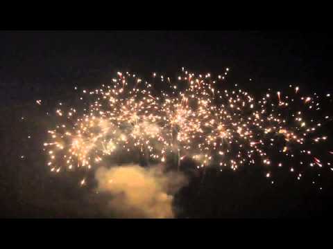 Purple Peony Finale Box - 25 Shots - Dominator Pro