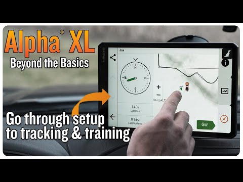 Alpha XL | Beyond the Basics