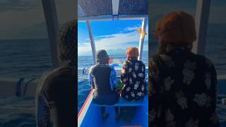 Download lagu LOOK AT THE RUMBLE RUN | NURRAYNI25 mp3