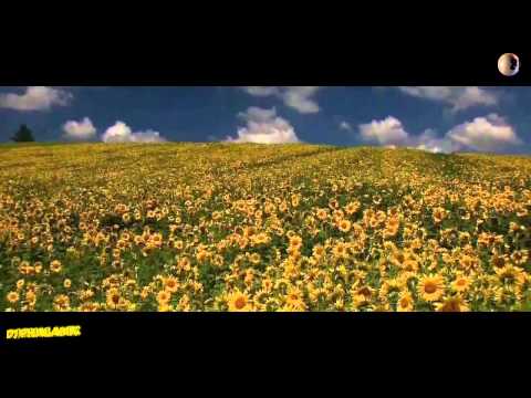 DJ Phalanx- Uplifting Trance - Sessions Episode 81