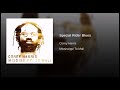 Corey Harris - Special Rider Blues  ( 2003 )