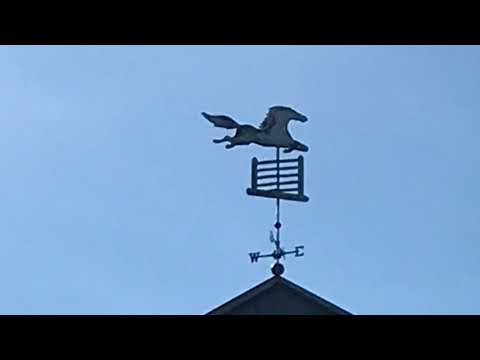 The Plains, Middleburg, Manassas 1 Mar 20