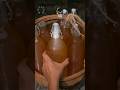 Handmade Barley Beer From Scratch Shorts