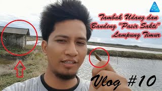 preview picture of video 'Melihat Tambak Tempat Budidaya Udang dan Bandeng Pasir Sakti #Vlog10 Ady's Daily Life'