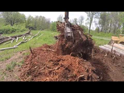Monster stump removal in high speed! Komatsu PC200.
