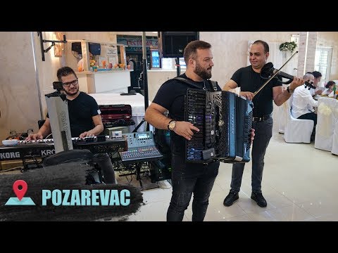 BORKO RADIVOJEVIC x TIGROVI - UVODNO KOLO - Hotel Izvor Pozarevac (Svadba Miljana & Milos) 2019