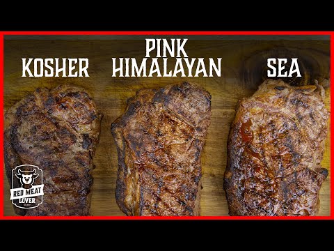 How to Season Steak Experiment - Which Salt is the BEST on Steak!?!?