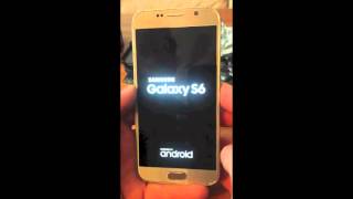 How to Unlock Fido Samsung Galaxy S6 using Cellunlocker.net