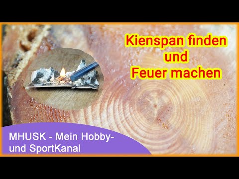 Kienspan / Fatwood (Gold des Waldes) als Zunder