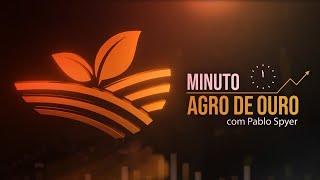 Soja pressionada, trigo em alta, café pujante e azeite barato | MINUTO AGRO DE OURO – 28/12/24