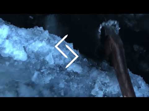 Neo Nordic bowed lyre - Hrafnagud - English lyrics. Setting of a genuine lay of the viking era.