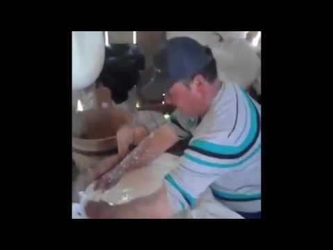 La stana din Com Ghindaoani