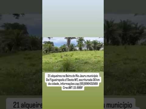 21 alqueires na beira do rio Jauru no MT. #brasil #agro #fazenda #gado #matogrosso