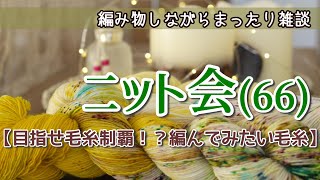 【ニット会66】編んでみたい毛糸！【まったり雑談ラジオ】