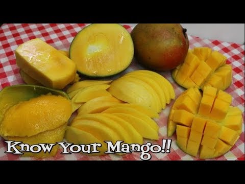 download lagu mp3 mp4 Mango Newsletter, download lagu Mango Newsletter gratis, unduh video klip Mango Newsletter