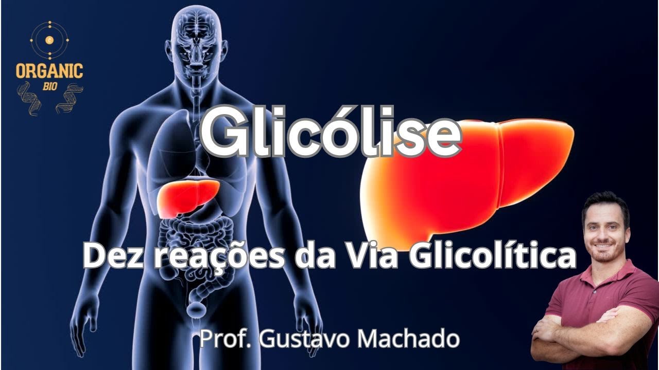 Glicólise - As dez reações que transformam seu pão em energia para a célula