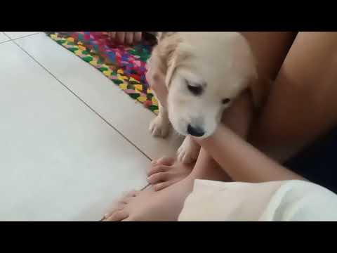 Enzo keeping everyone on their toes 😀