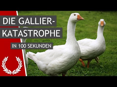 Die Gallierkatastrophe in 100 Sekunden