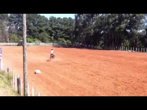 III Prova Capão da Lagoa,(bayard sarmento) 1º lugar machos
