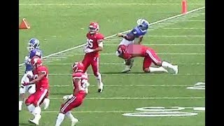 日大の悪質タックルについて語る