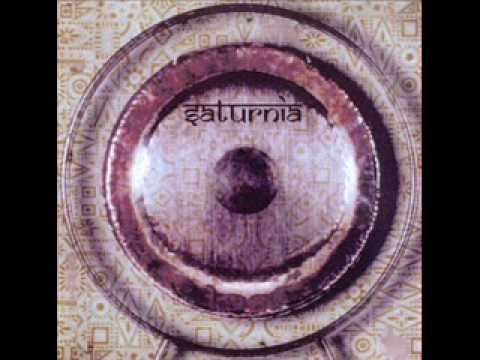 Saturnia - Chrysalis